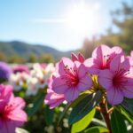 Quand fleurissent les rhododendrons ? Guide essentiel pour une floraison réussie